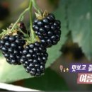 참맛농부 이미지