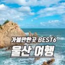 울산 이미지