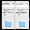 트롱스냅 | 베트남 호이안 스냅사진 트롱스냅 내돈내산 후기