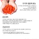 청양청정구기자농장
