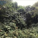 산유리보건진료소 이미지