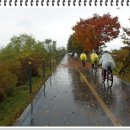 안성면105 이미지