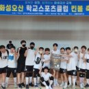 숲속초교 이미지