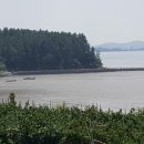 새들펜션민박 이미지