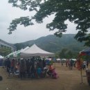 비상초등학교 Daum카페