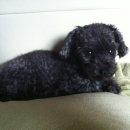 방배2동_ 이미지