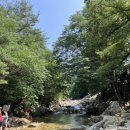 소나무 팬션민박 이미지