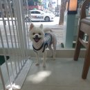 주인아 미용하고가 이미지