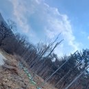 정일농장 이미지