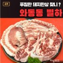 GS25 파주 대원점 | 파주 고기집 추천 별하, 인생 삼겹살 찾은 와동동 맛집