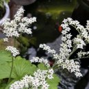 행복을여는약국 | 종로5가약국 쇼핑 리스트 공개! 종로5가미래약국에서 득템한 포도당 영양제 후기