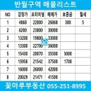 반월·현대부동산공인중개사사무소 이미지