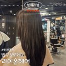 라이온헤어 4F