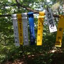 검암산(정상) 이미지