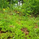 연꽃호수펜션 이미지