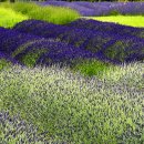 당신있어좋은세상 이미지