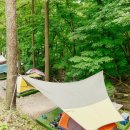 국립오서산자연휴양림 이미지