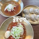 금남가방 | 들안길 맛집 점심 골목냉면1966, 재방문하고 싶은 대구 냉면집 추천