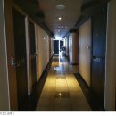 새미래트윈스 이미지