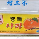 전국농부들