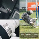 [행사] 소니 세미나 'α7R VI &amp; α7 V와 도그 어질리티: 질주의 순간 촬영' 후기