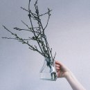 여전히;그날