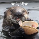 싱크대닷컴
