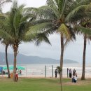 고목나무 이미지