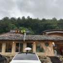 알파카프라자 이미지