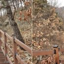 봉학골산림욕장 이미지