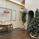 스테이 마넷 이미지