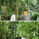 서천경희한의원 이미지