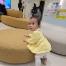 베베아카 이미지