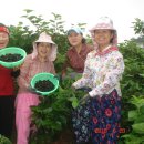 인숙농장 이미지