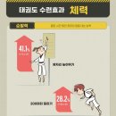 한국체대 사랑태권도 이미지