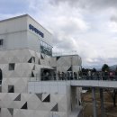 탄금공원 | 충주 아쿠아리움 개장식 및 첫 오픈런 후기 | 탄금공원 행사 아이랑 가볼만한 곳