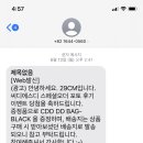 씨디에스디(CDSD)