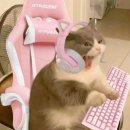 크리드PC방 안산본오점 네이버블로그