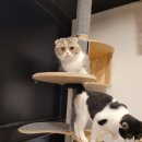 아이조아요양보호소 전남광주점 이미지