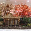 광주 신세계 백화점 1층 Lobby에 '우리의 옛집' Display 해놓은곳. 가을을 느껴보라고..ㅎㅎ 이미지