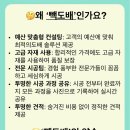 평화제일오투그란데에버 네이버블로그