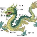 용 이미지