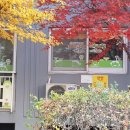 재미나라어린이집 이미지