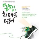 치매극복전국걷기대회 Daum카페