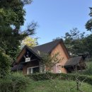 바다의 숲속 이미지