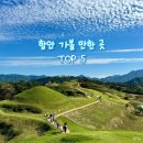 법수면공설운동장 | 선선한 가을, 경남 함안 가볼 만한 곳 TOP 5 | 악양둑방길, 악양생태공원, 고려당유적지, 함안양떼목장...