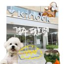 리본반려견 유치원 | [경주] 반려견 경주 펫호텔 키녹 kinock 시그니처룸 ♡경주 키녹 펫캉스♡