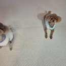 38점5도씨 이미지