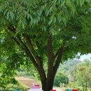 금평 농장 이미지