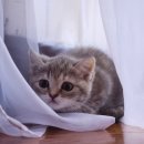 거제사랑치과의원 이미지